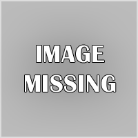 1010 Womens Micro Rib Baby Tee